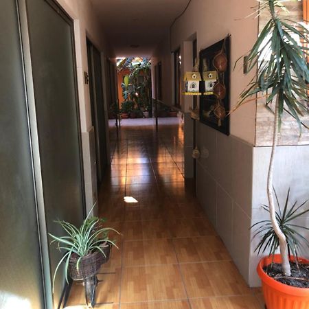 Casa Alejandra Appartement Antofagasta Buitenkant foto